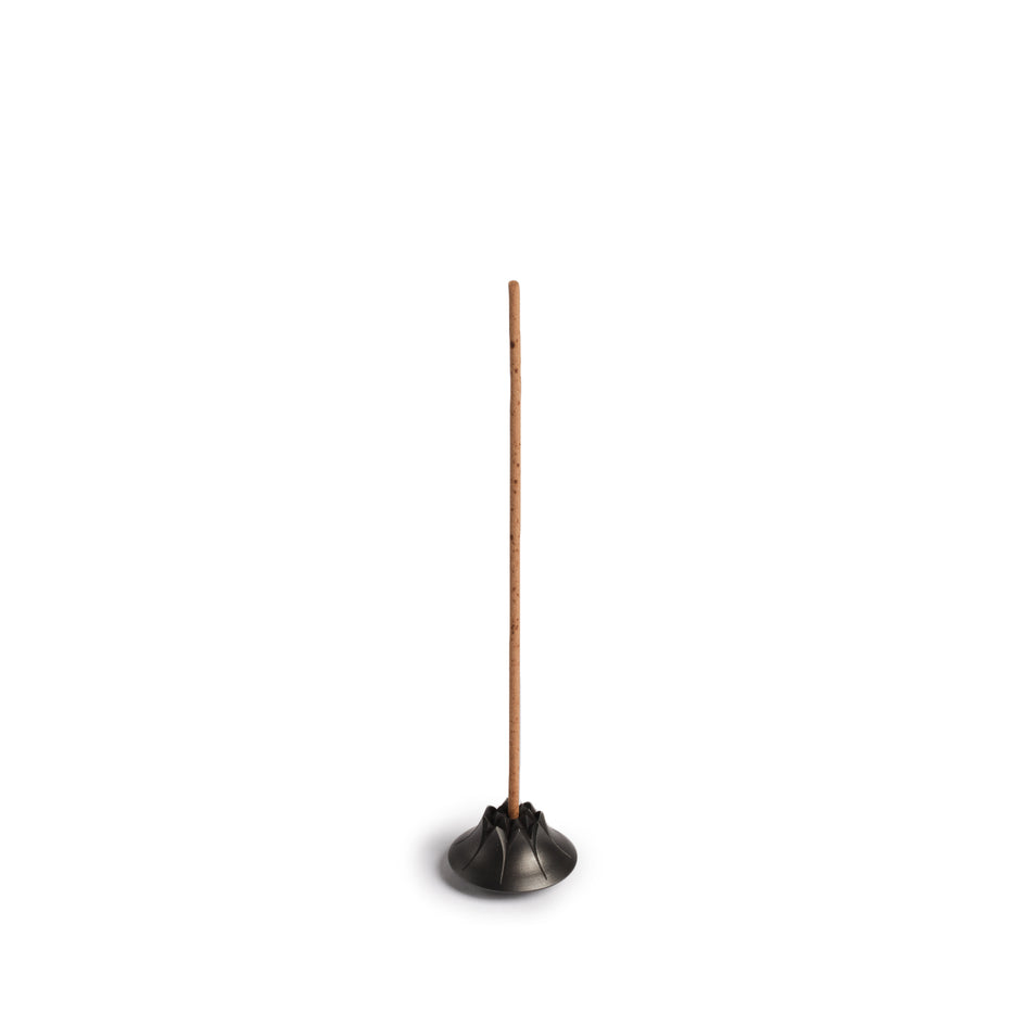 Agave Incense Holder in Blackened Brass Image 2