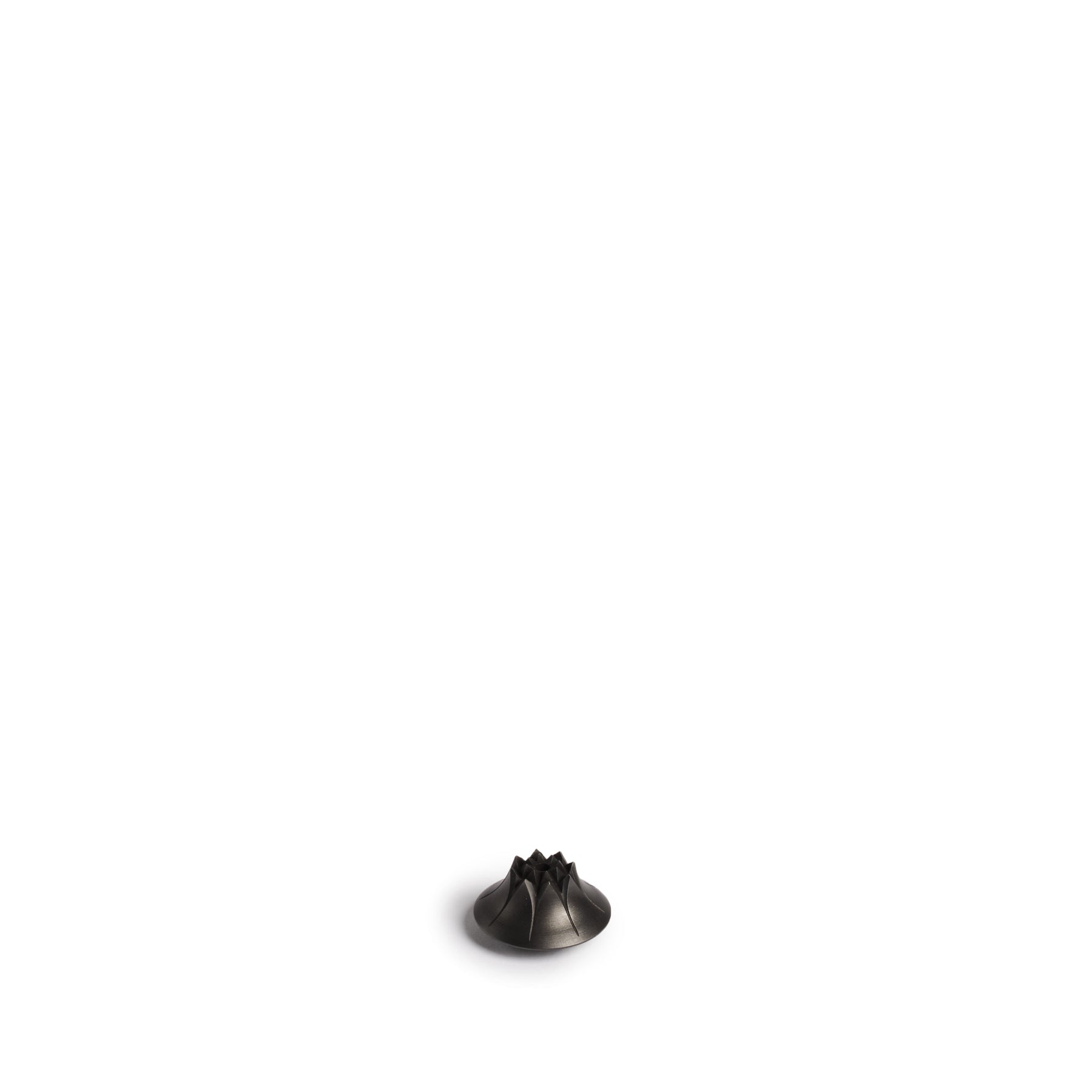 Agave Incense Holder in Blackened Brass Zoom Image 1