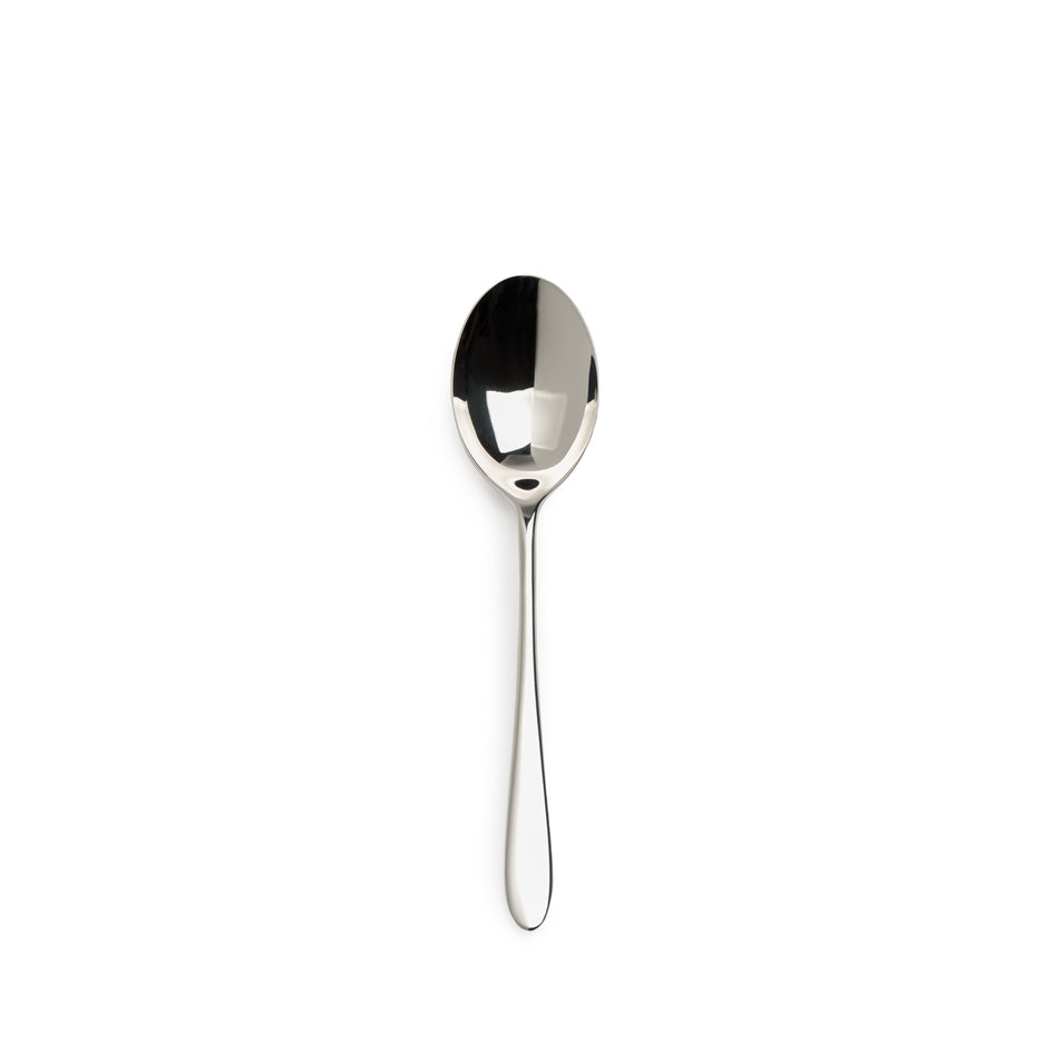Pride Large Serving Spoon Image 1