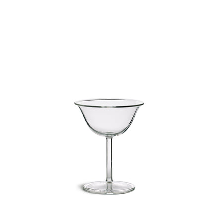 Rosetta Martini Glass in Clear (Set of 2)