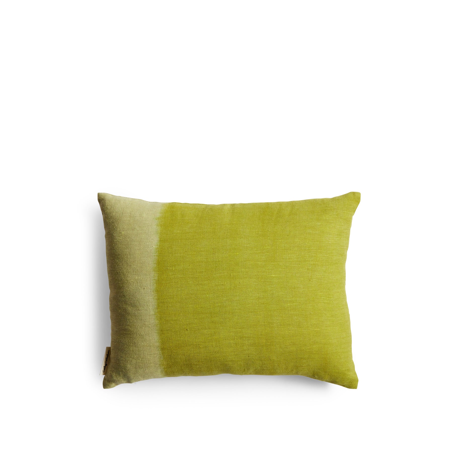 Pillow in Avocado/Lemon Rind Zoom Image 1