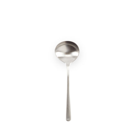 Stainless Steel Dressing Spoon