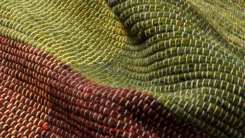 Rugs Collection 