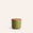 Container with Wooden Lid in Tomatillo