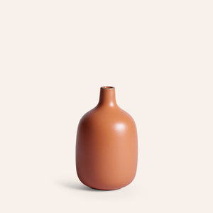 Single-Stem Vase in Desert