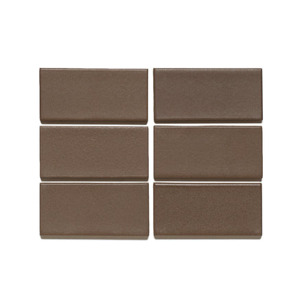 M166 Sample in Fossil