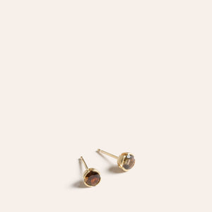 Eva Post Earrings