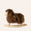 Long Wool Rocking Sheep in Brown