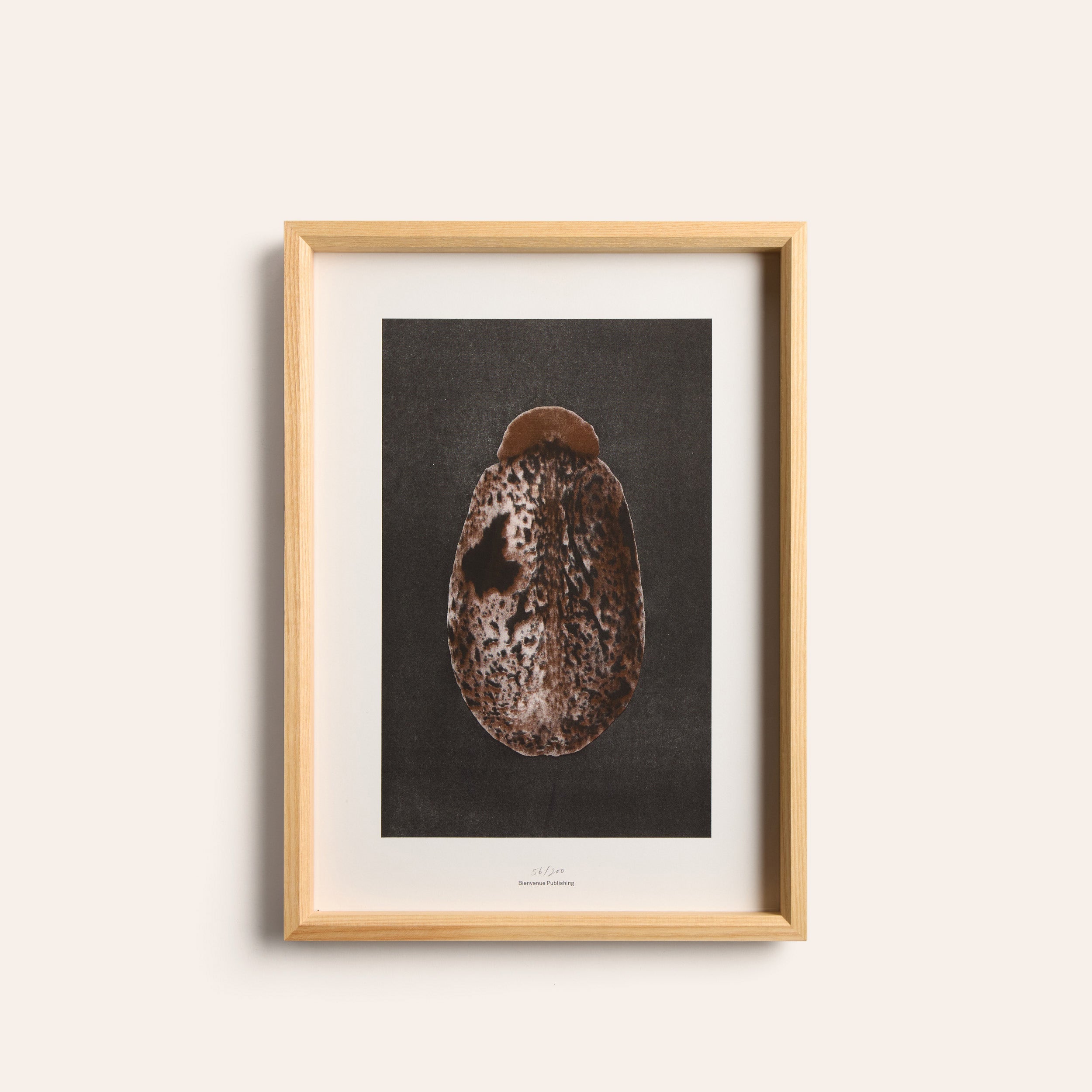 Origins No 3 Limited Print