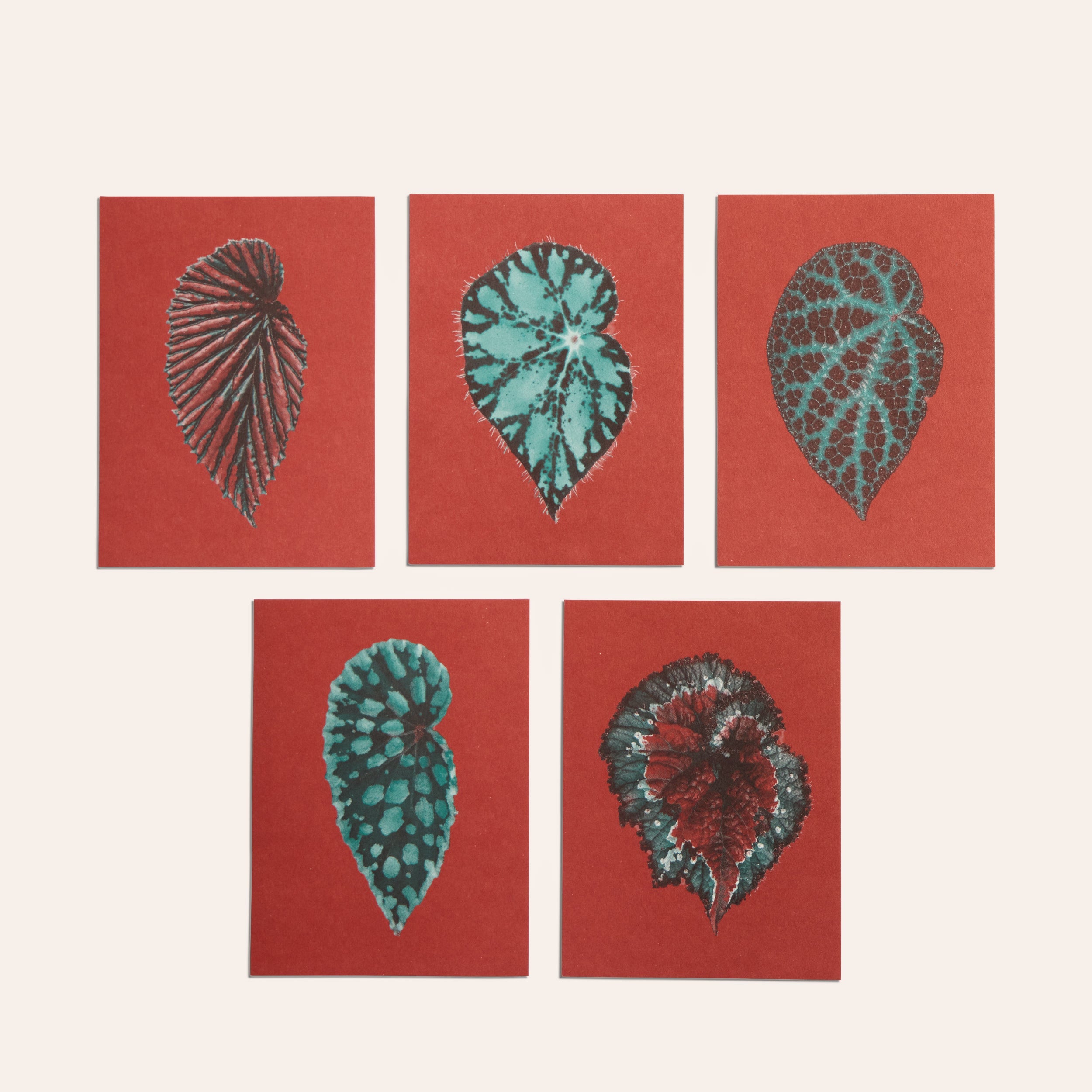 No. 12 Leaves of Friendship Small Print Set