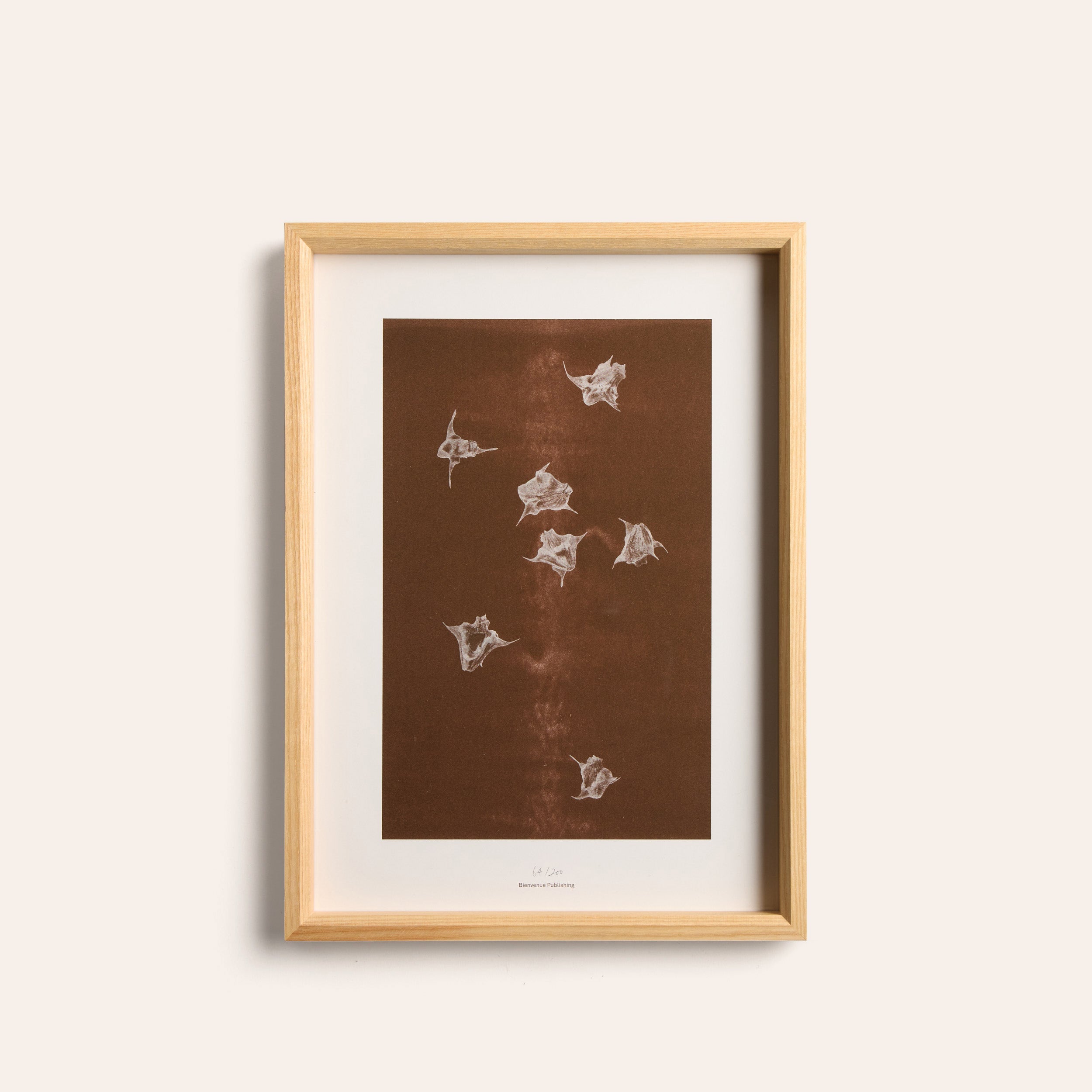 Origins No 5 Limited Print