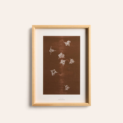 Origins No 5 Limited Print