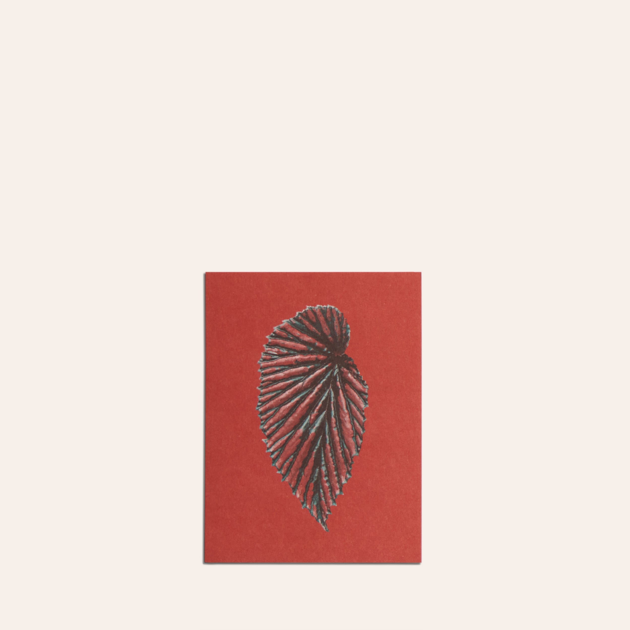 No. 12 Leaves of Friendship Small Print Set