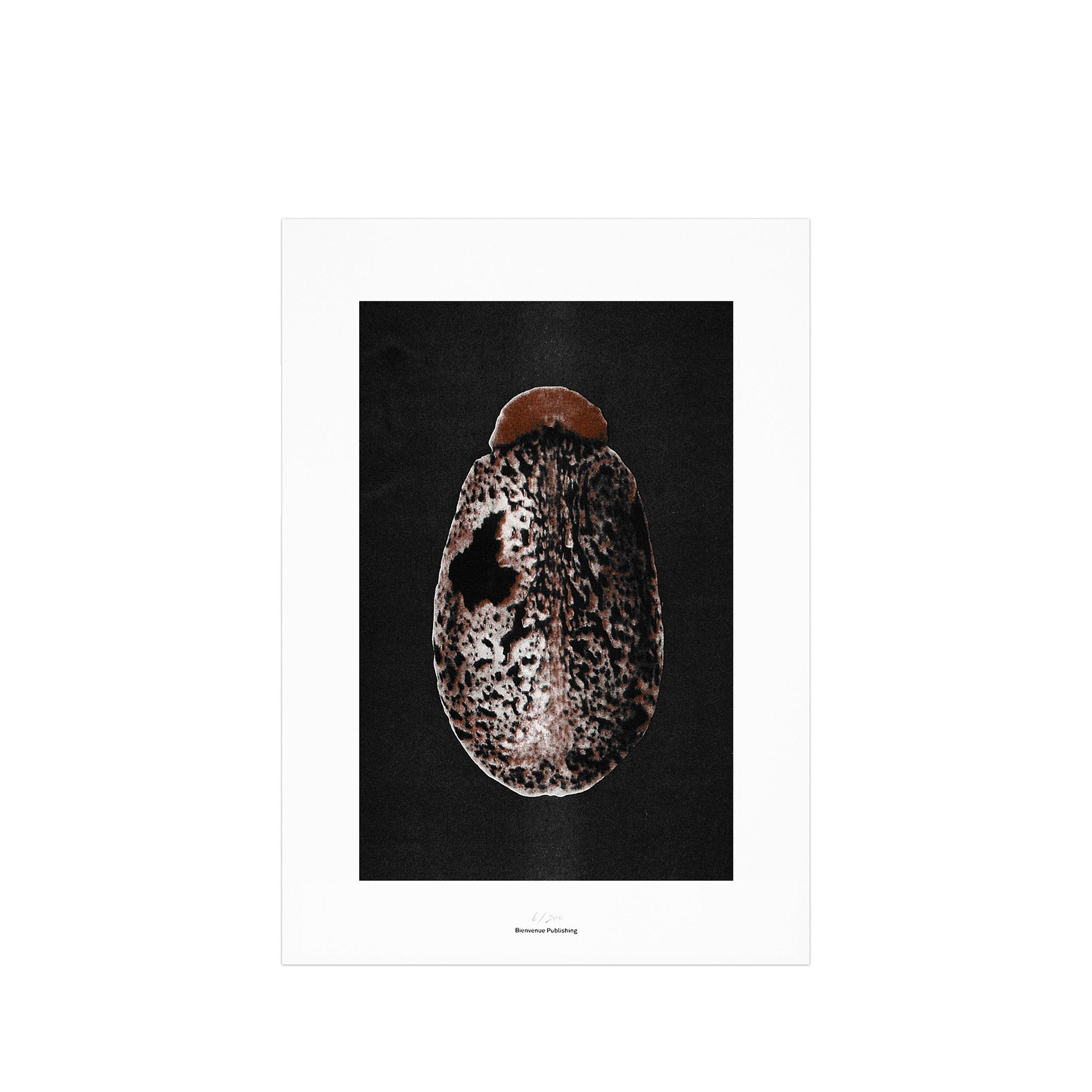 Origins No 3 Limited Print Zoom Image 1