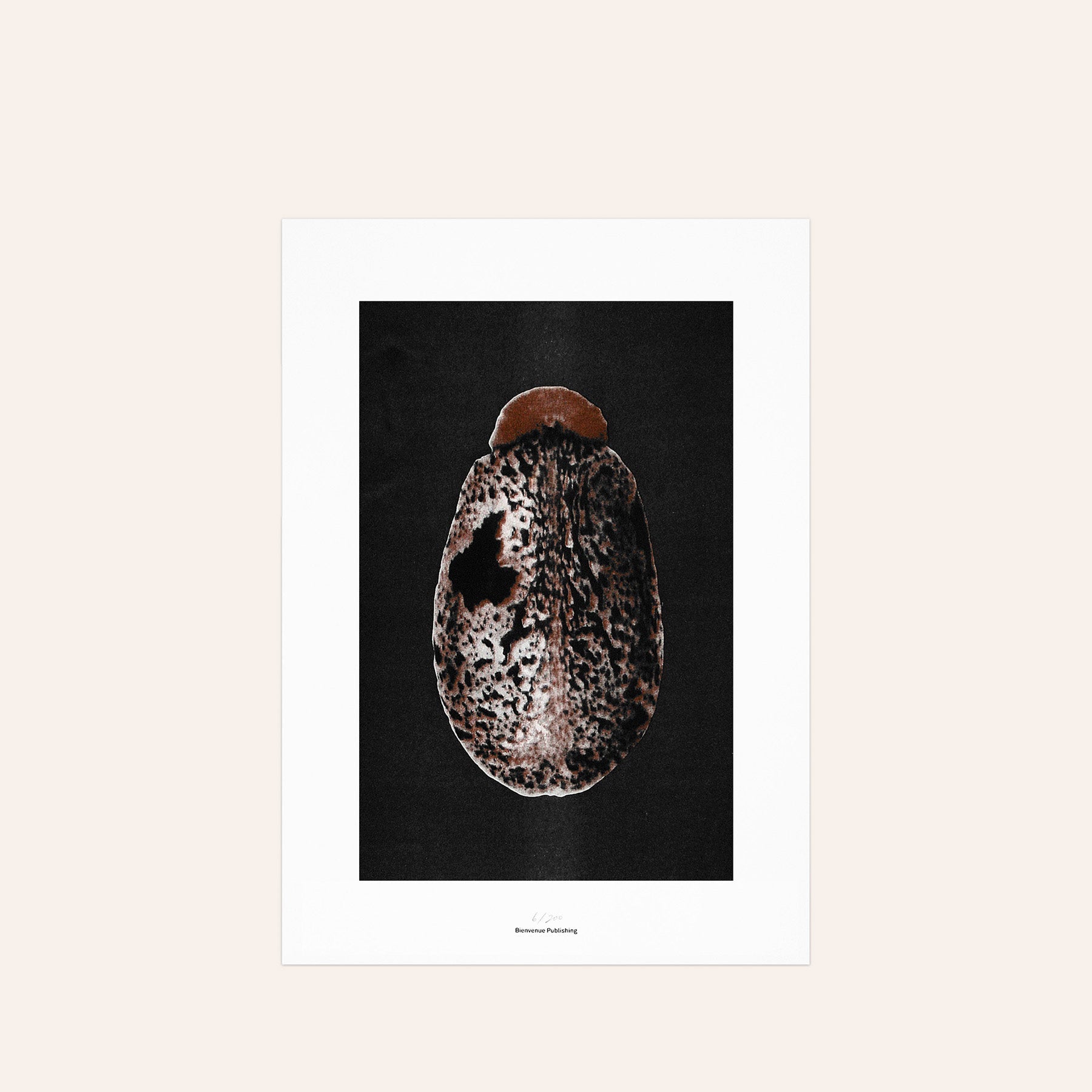 Origins No 3 Limited Print