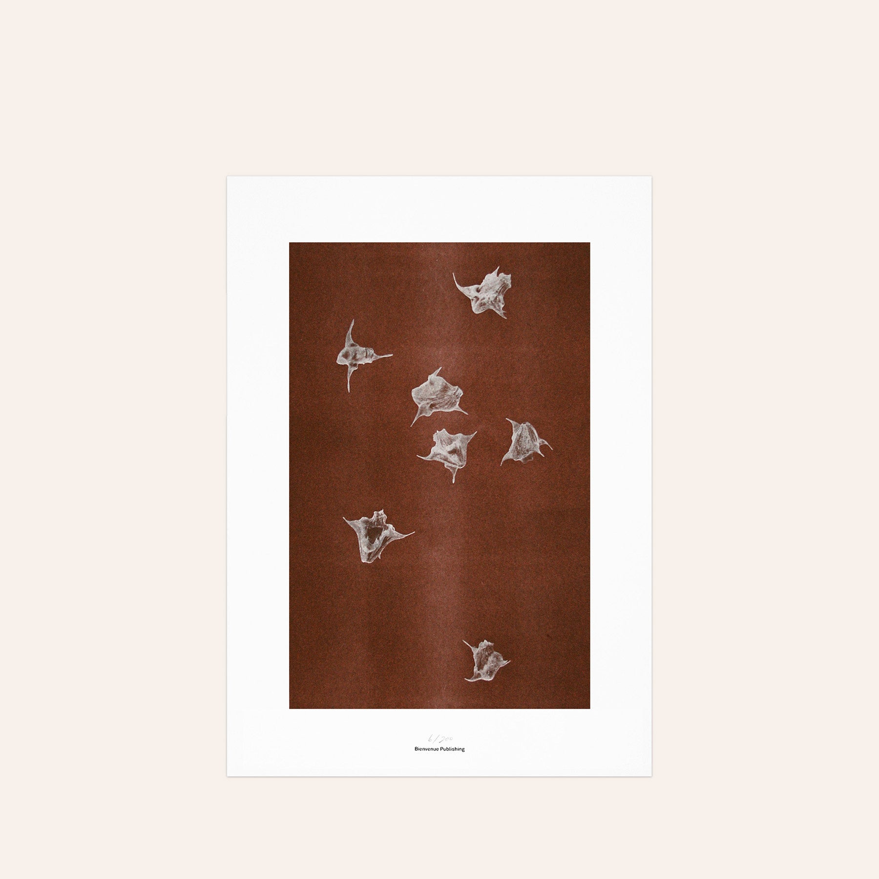 Origins No 5 Limited Print