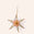 Large Star Ornament in Gold/Pink