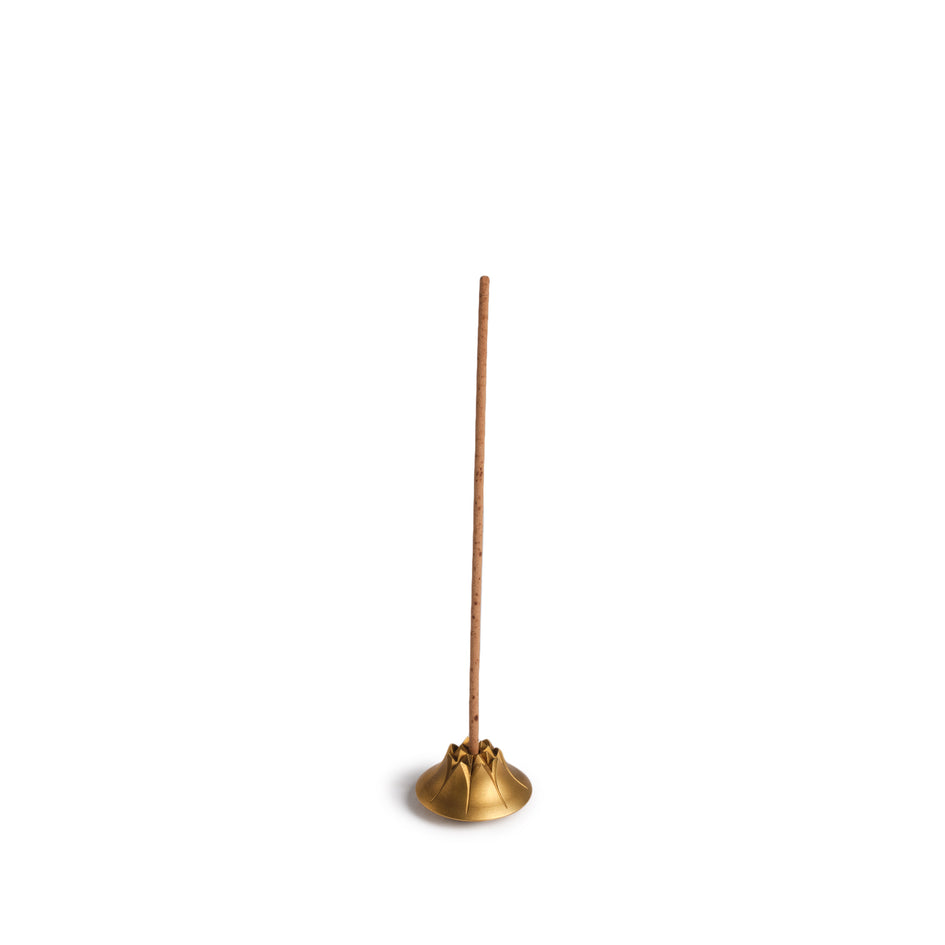 Agave Incense Holder in Satin Brass Image 2