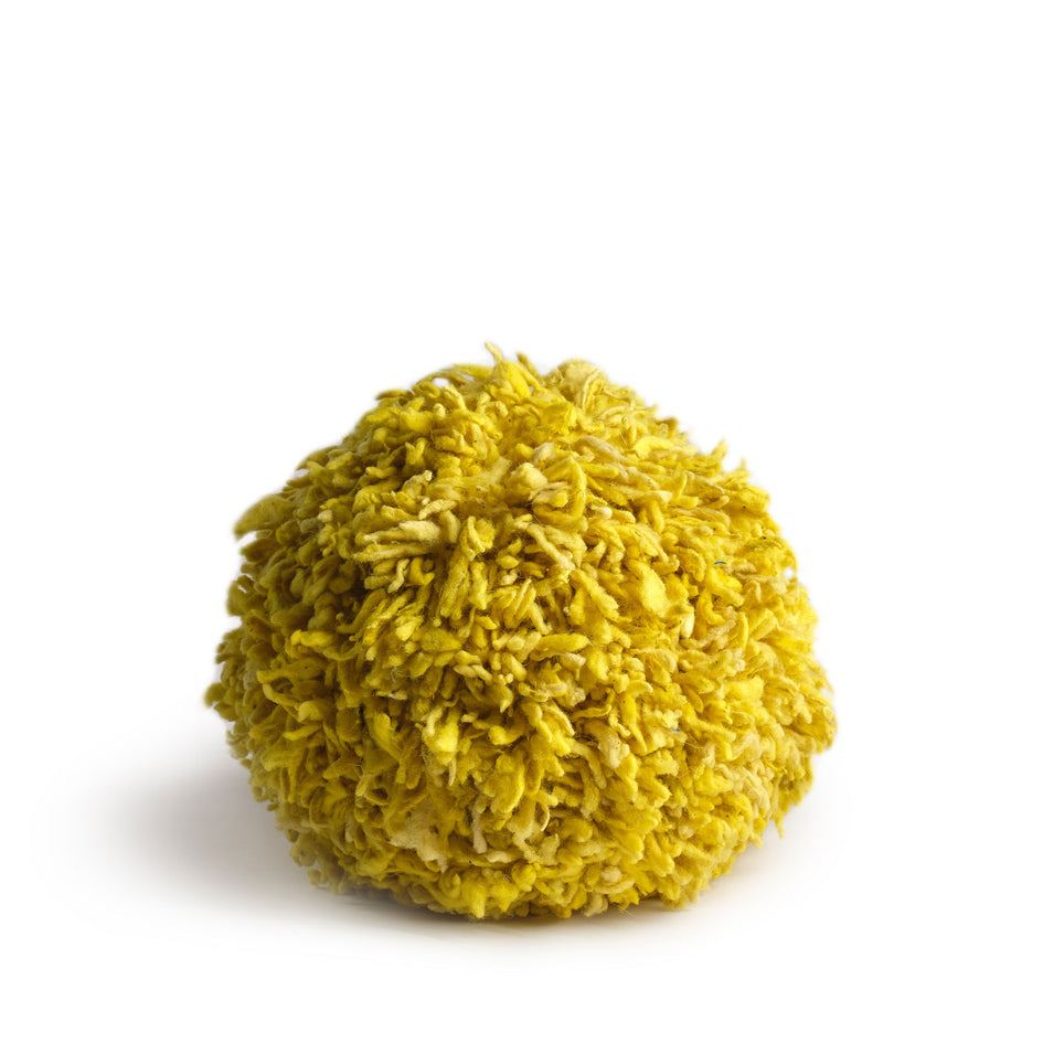 Momo in Lemongrass Image 1