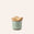 Special Edition Container 03