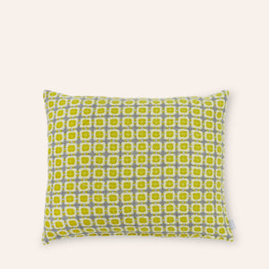 Woven Pillow in Pistachio