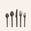 Muir Flatware in Onyx (5 Piece Setting)
