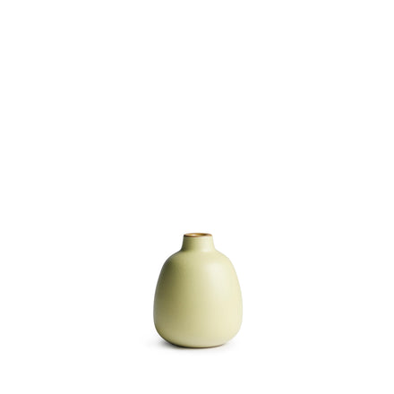 Bud Vase in Lemon Rind
