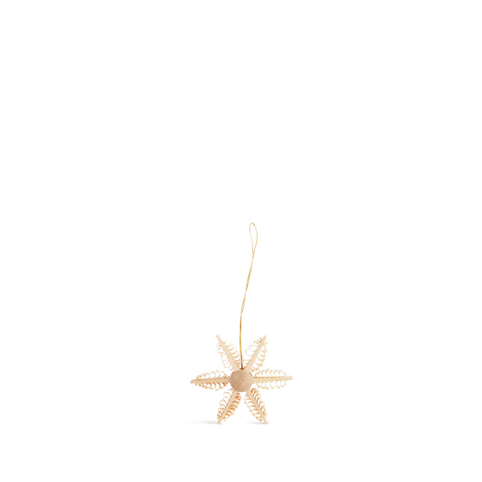 Star Ornament Image 1