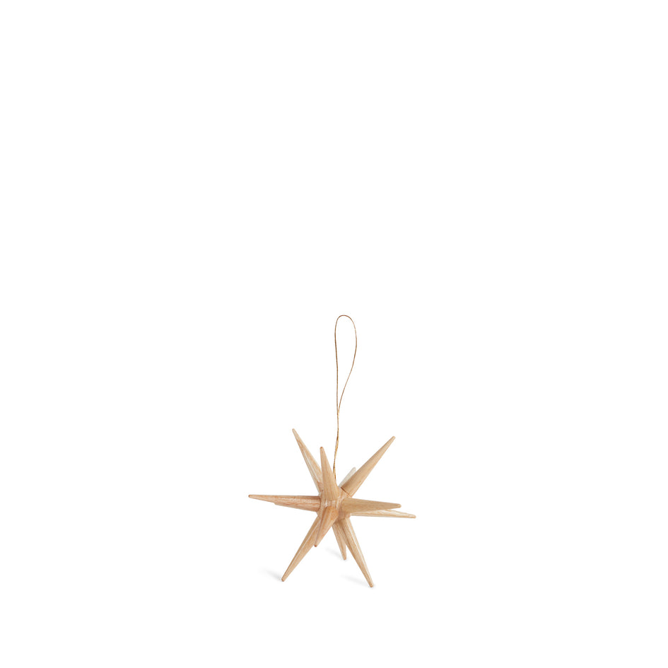 Starburst Ornament in Natural Image 1