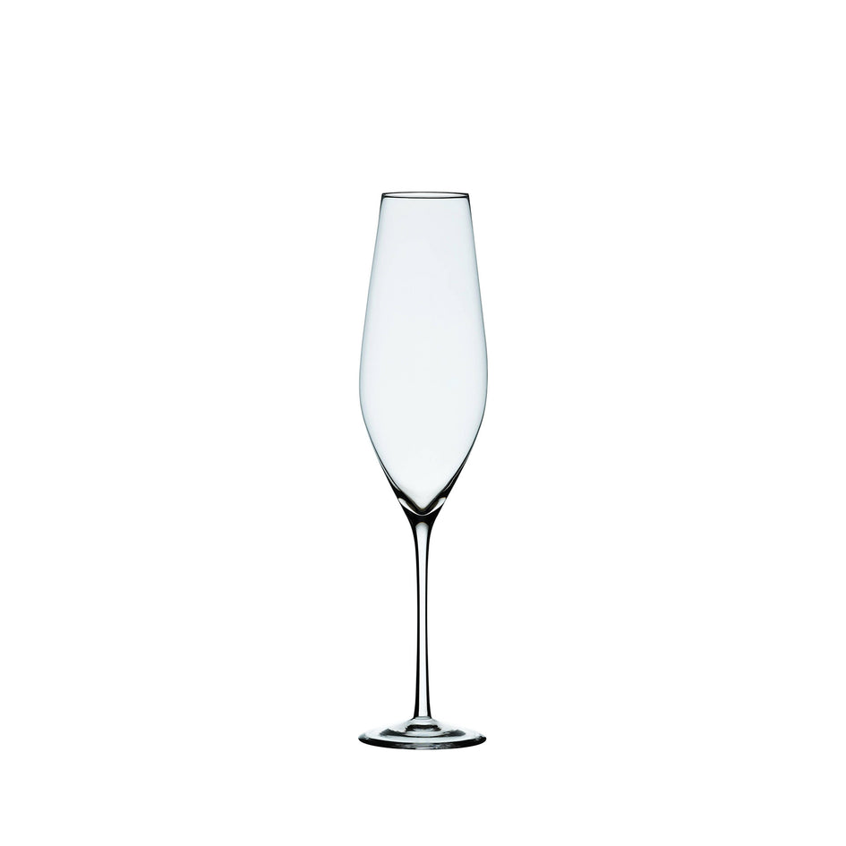 Cabernet Champagne Glass (Set of 6) Image 1