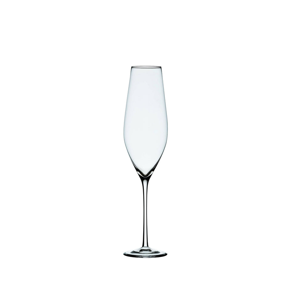 Cabernet Champagne Glass (Set of 6) Image 1