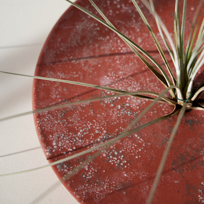 Heath Ceramics Design Series 9 Form 01