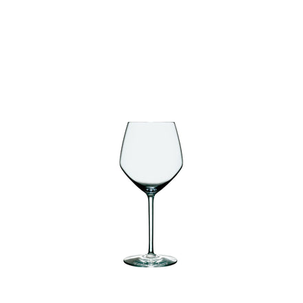 Perfection Red Wine Glass (Set of 6)