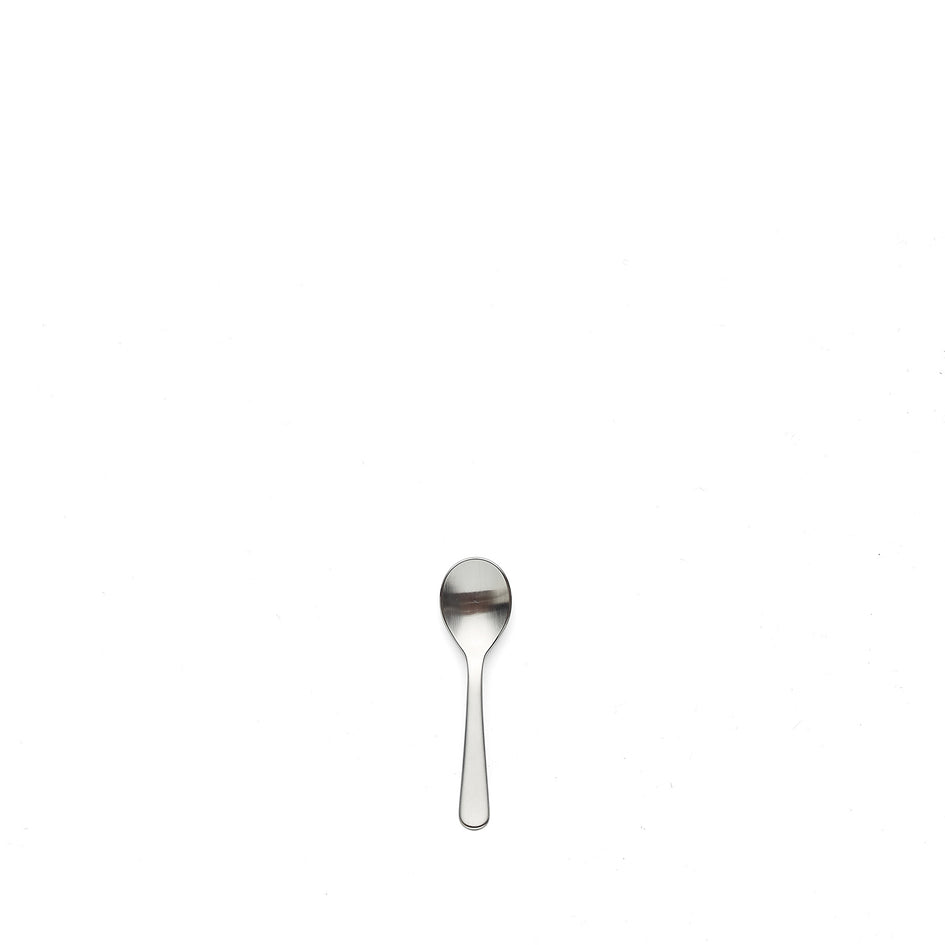 Stainless Steel Salt Spoon Image 1